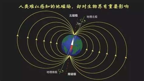 睡覺方向 磁場